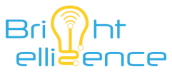 Brightelligence