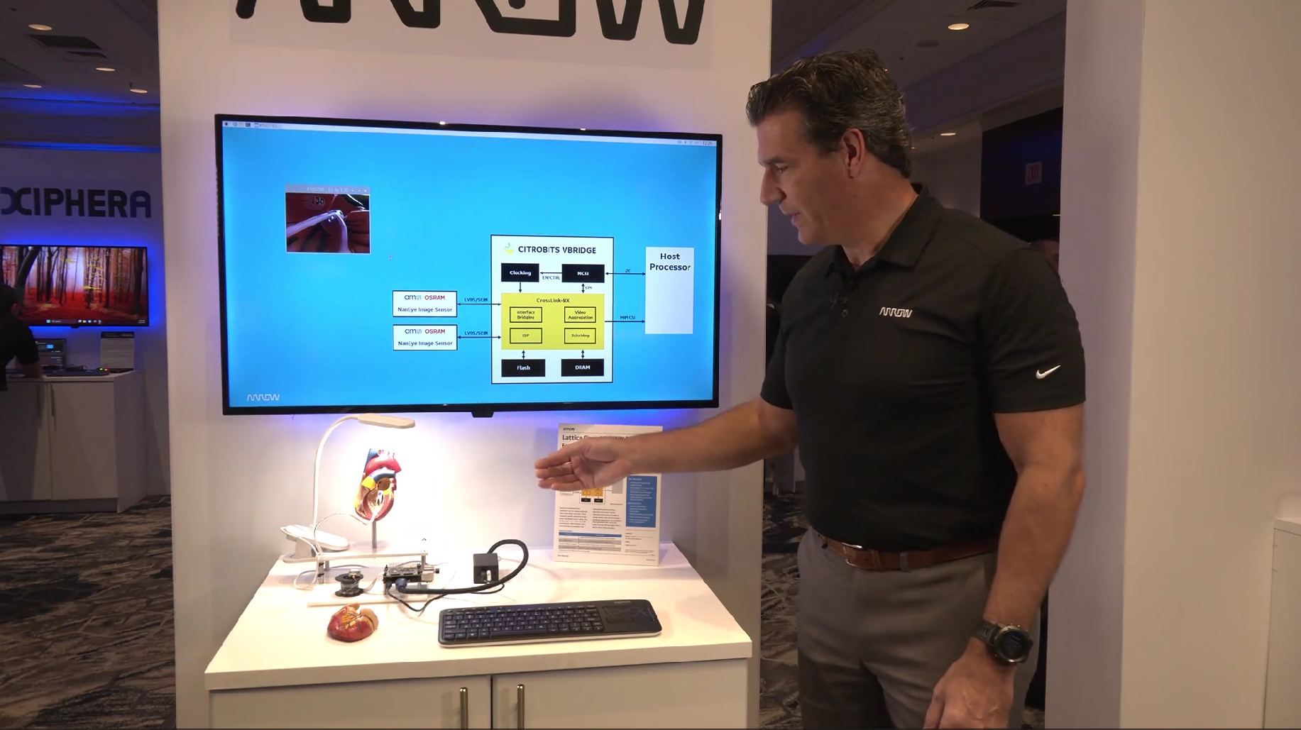 Arrow Lattice CrossLink-NX for Endoscopy
